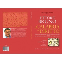 La Calabria del Diritto, Reperti antichi e una storia giuridica ritrovata per un inquadramento del diritto magno greco