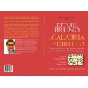 La Calabria del Diritto, Reperti antichi e una storia giuridica ritrovata per un inquadramento del diritto magno greco