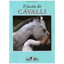 Il fascino dei Cavalli