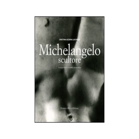 Michelangelo scultore