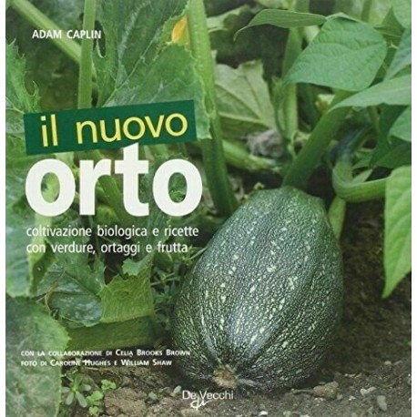 Il nuovo orto