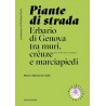 Piante di Strada